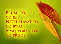 /album/oblibena-zivotni-moudra/prijmi-png/